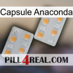 Anaconda Capsule 25